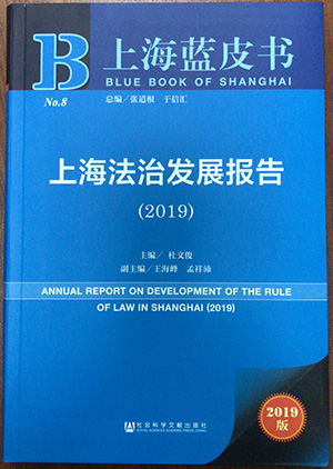 上海法治发展报告
